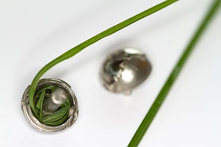 Ein kleiner, geöffneter silberner oder metallischer Anhänger, möglicherweise Teil eines Erinnerungsschmucks, enthält eine kleine Locke aus grünem Gras, während ein weiterer ähnlicher Anhänger leicht unscharf im Hintergrund zu sehen ist. Ein langer Grashalm biegt sich über den Vordergrund und rahmt den geöffneten Anhänger ein.